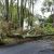 Blairs Storm Damage Cleanup by Carolina Tree Service